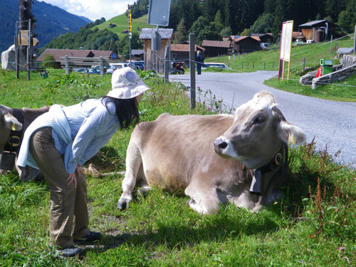 Swiss Trip Pic