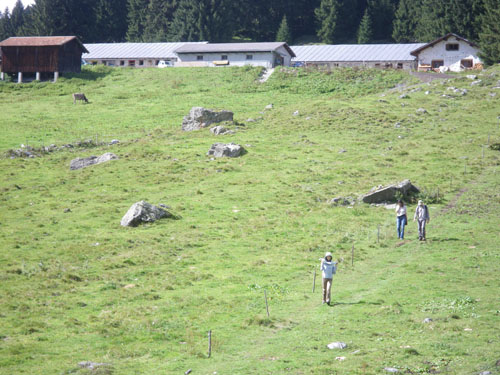 Swiss Trip Pic