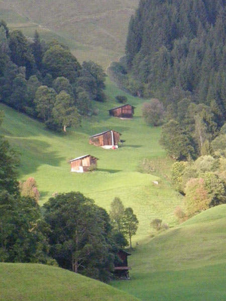 Swiss Trip Pic