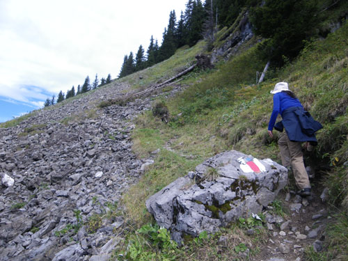 Swiss Trip Pic