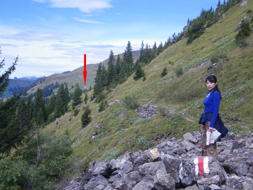 Swiss Trip Pic