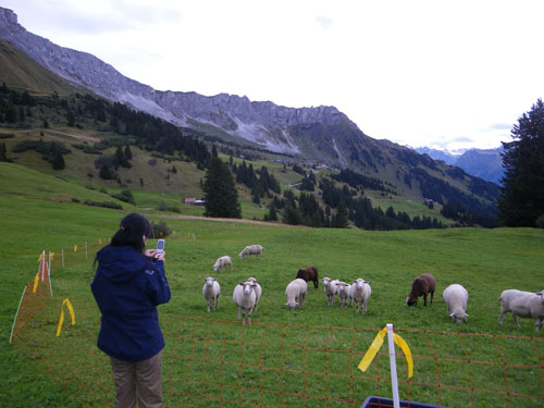 Swiss Trip Pic